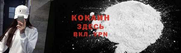 прущие грибы Гусев