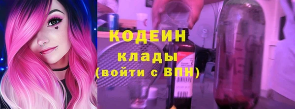 прущие грибы Гусев