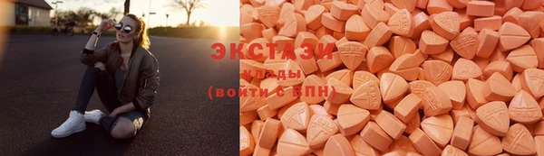 прущие грибы Гусиноозёрск