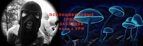 мдма Дмитриев