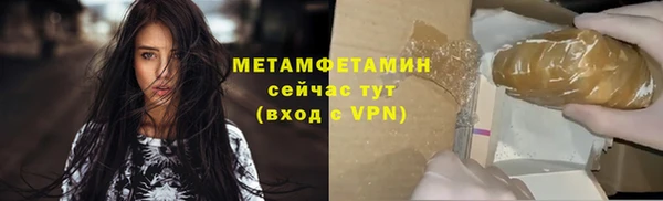 прущие грибы Гусев