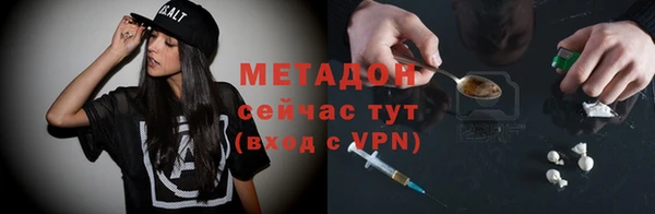 прущие грибы Гусиноозёрск