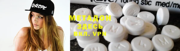 прущие грибы Гусев