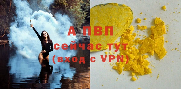 прущие грибы Гусев