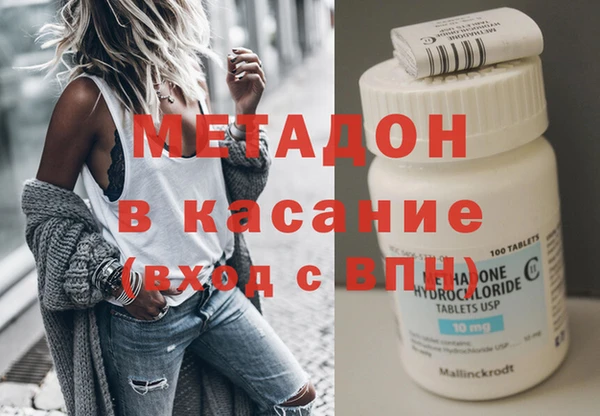 прущие грибы Гусиноозёрск