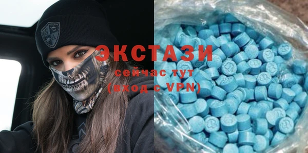 прущие грибы Гусиноозёрск