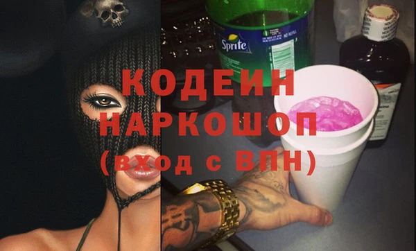 прущие грибы Гусев
