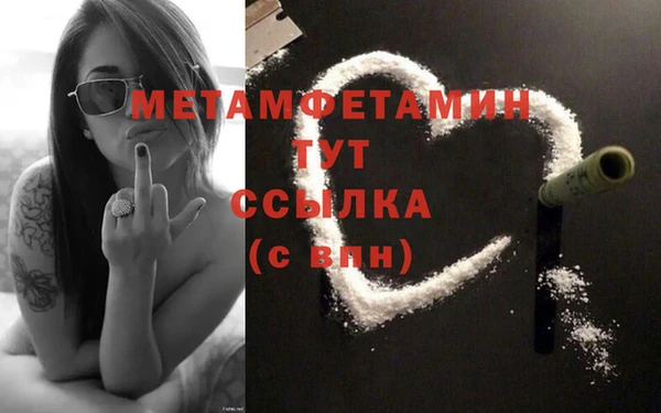 прущие грибы Гусев