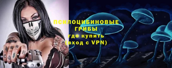 прущие грибы Гусиноозёрск