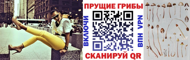 Галлюциногенные грибы Cubensis  даркнет Telegram  Еманжелинск 
